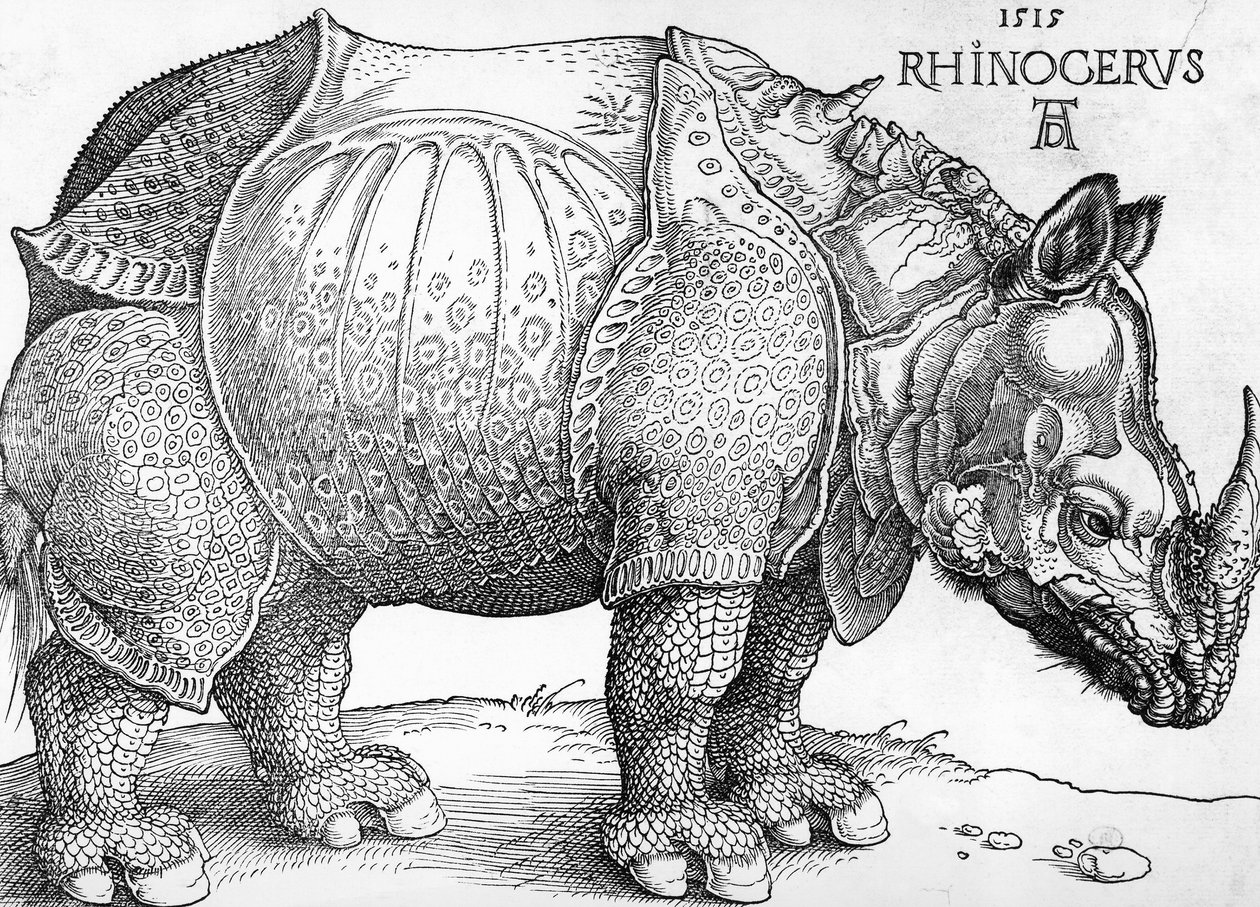 Neshorn av Albrecht Dürer