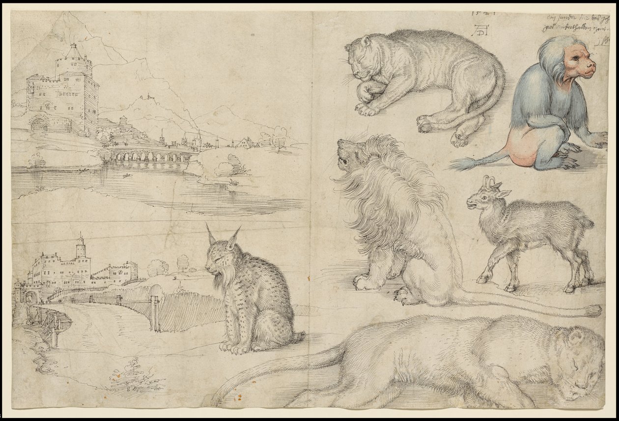 Skisser av dyr og landskap, 1521 av Albrecht Dürer
