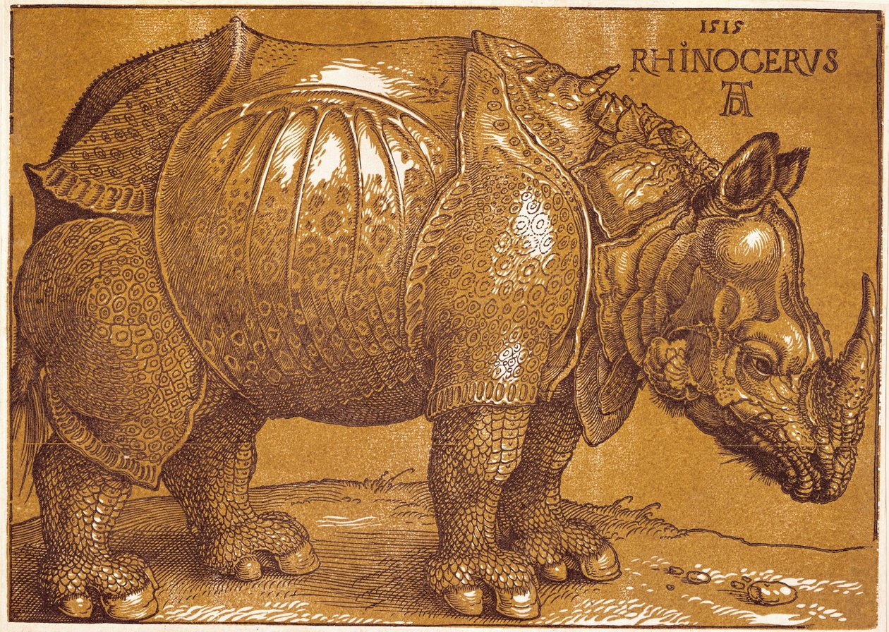  av Albrecht Dürer or Duerer