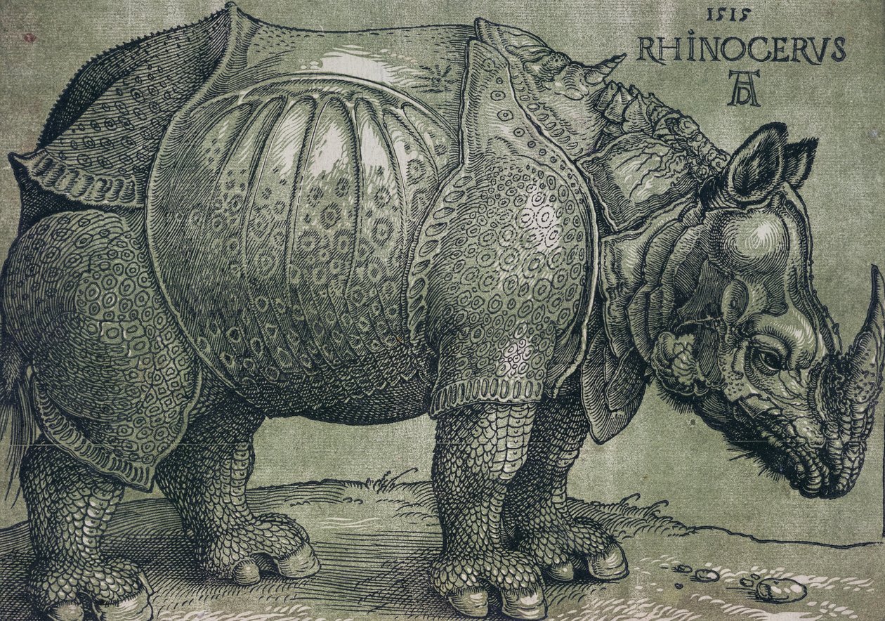 Neshornet, 1515 av Albrecht Dürer