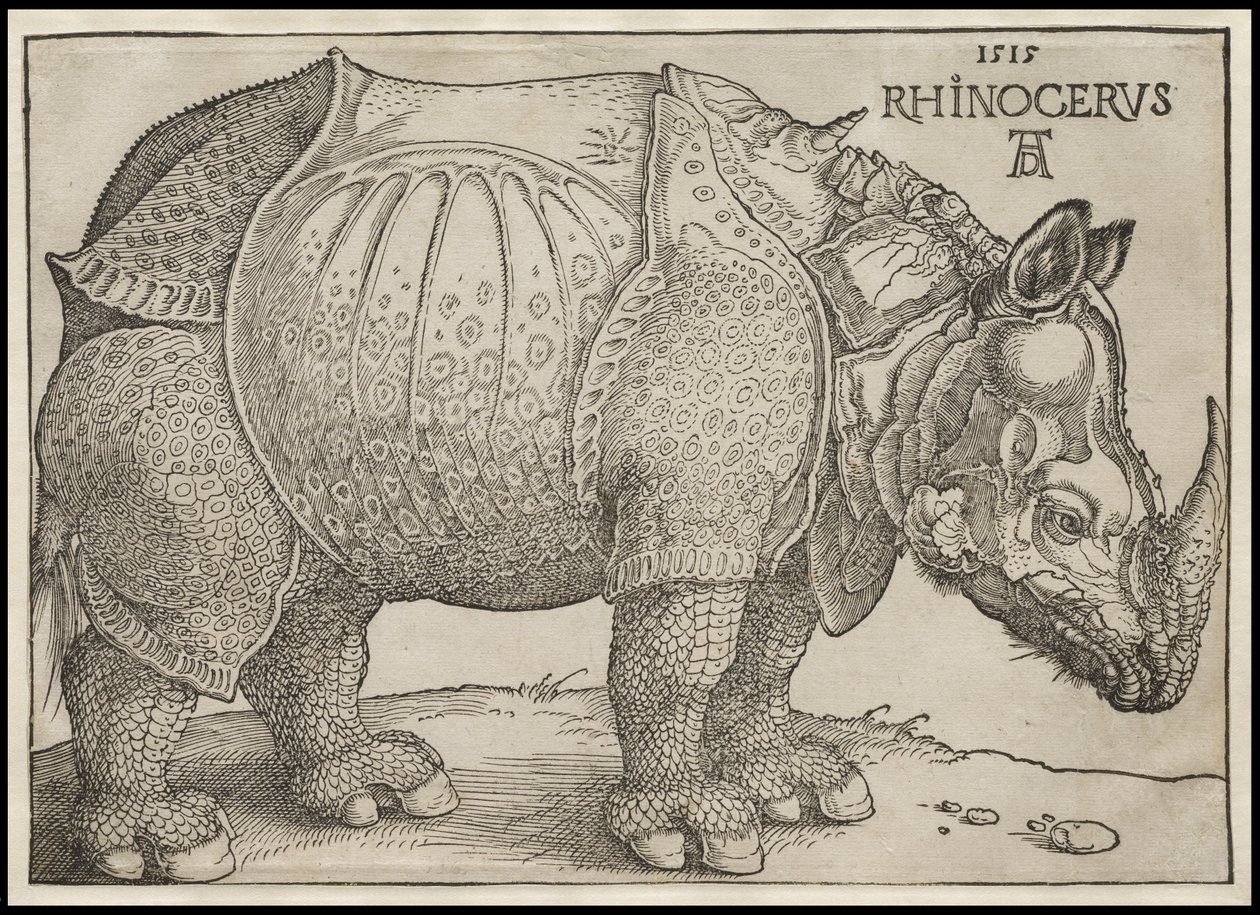 Neshornet, 1515 av Albrecht Dürer