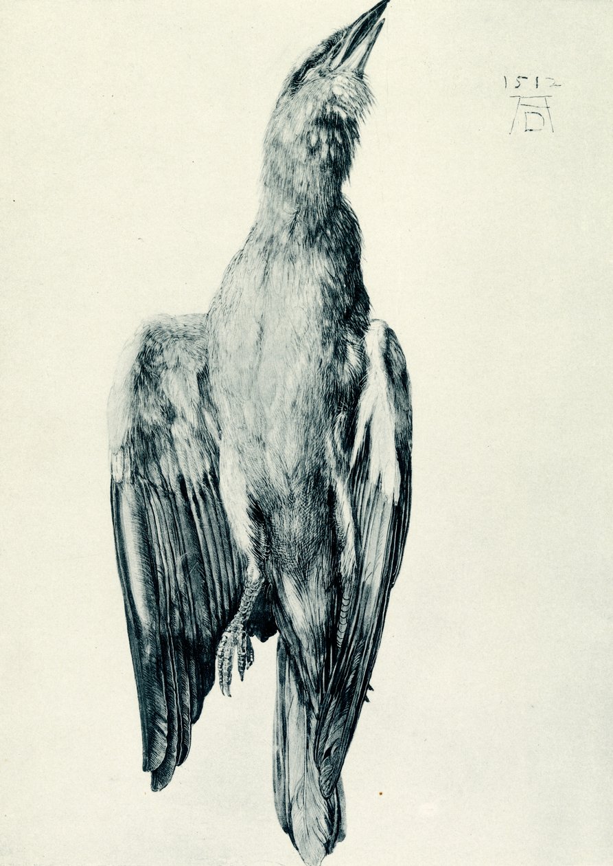 Den dødblå rullen av Albrecht Dürer