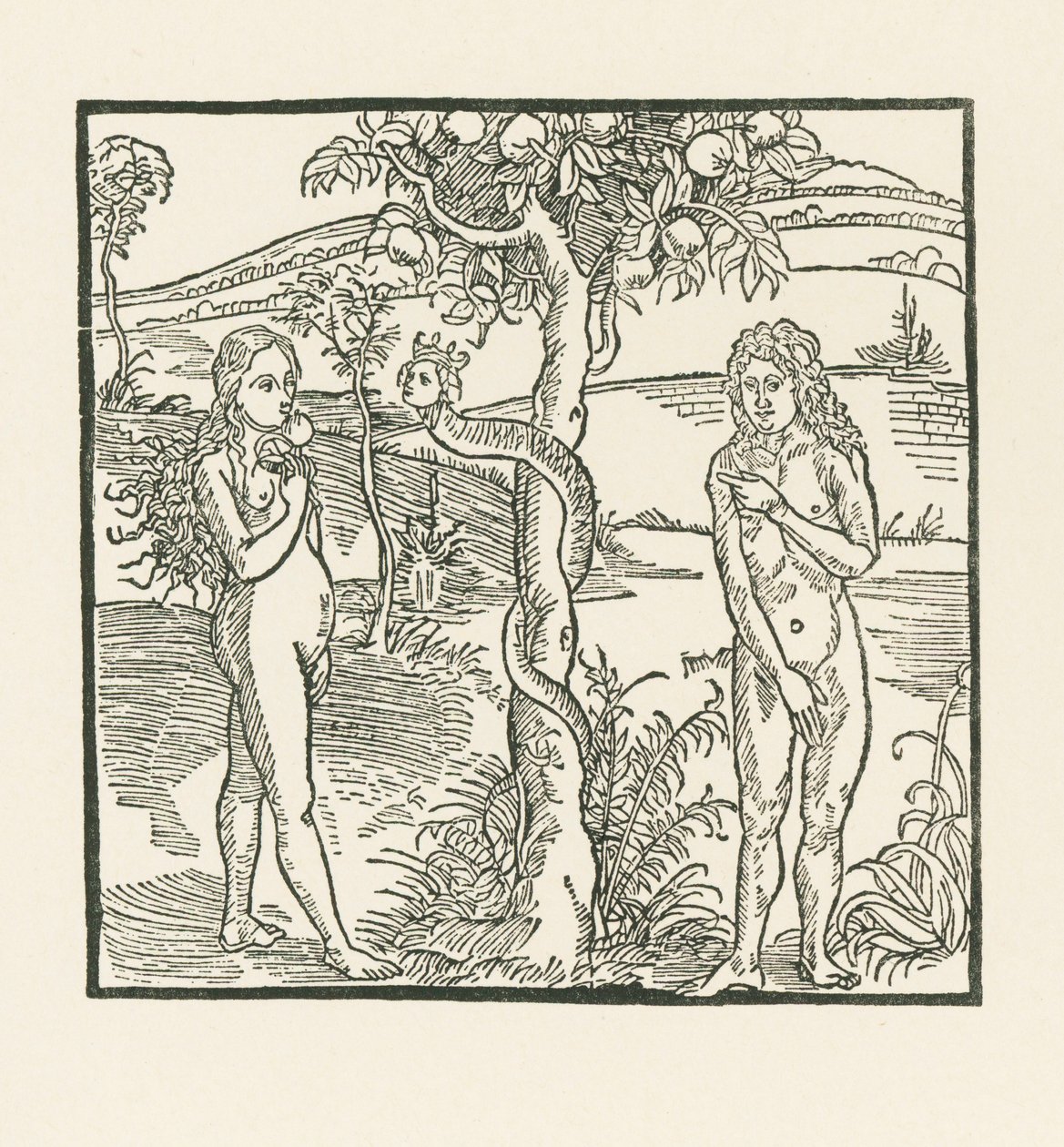  av Albrecht Dürer or Duerer