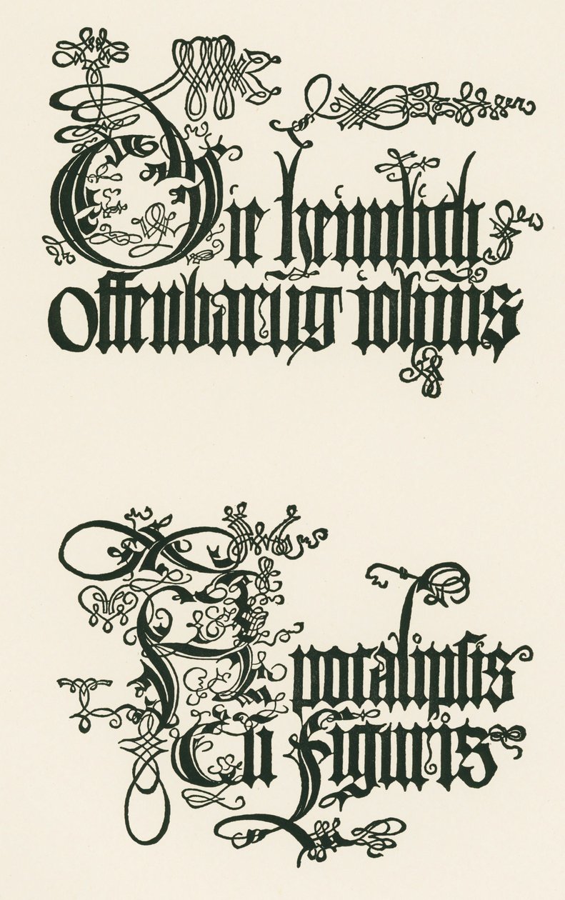  av Albrecht Dürer or Duerer