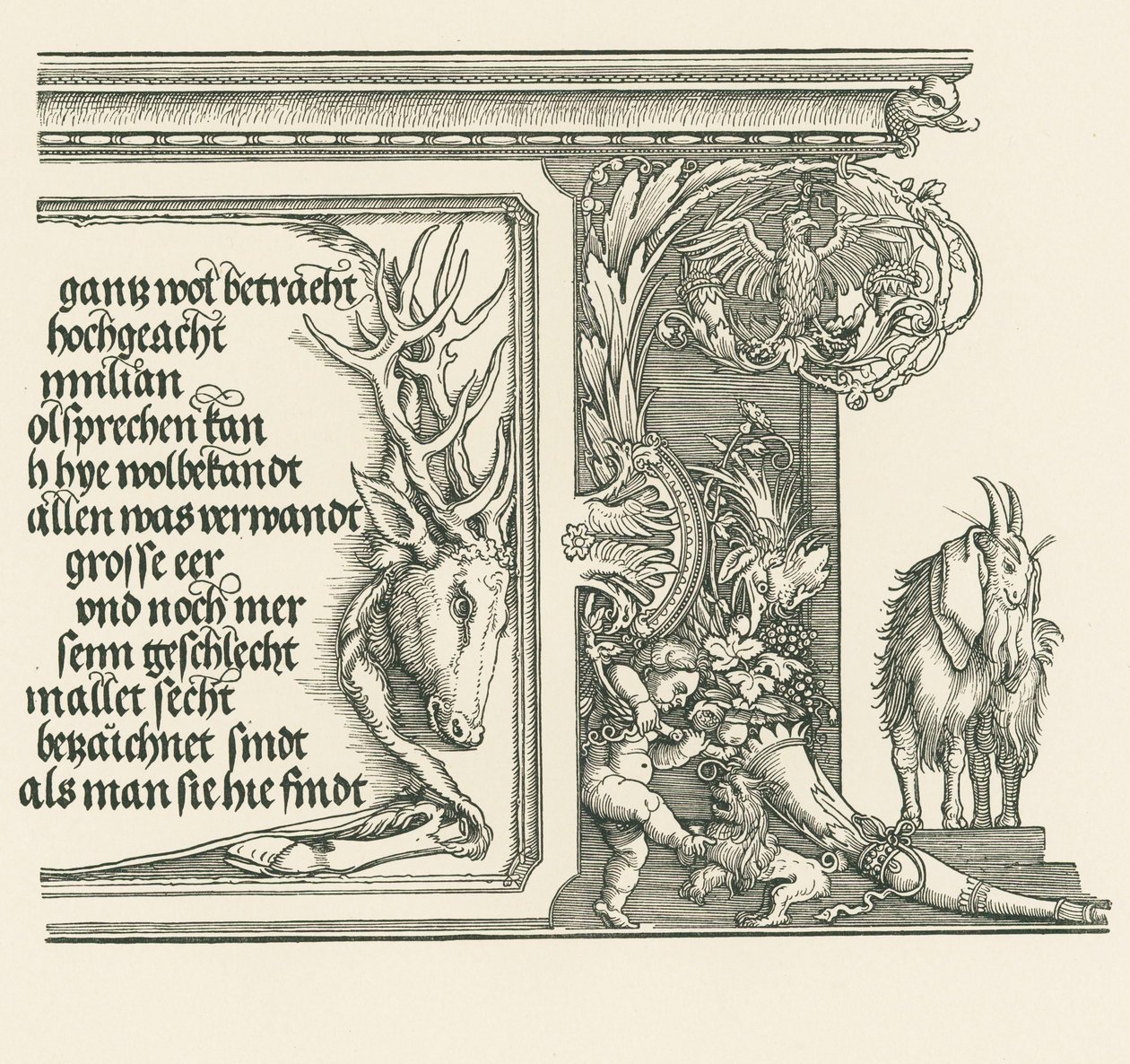  av Albrecht Dürer or Duerer