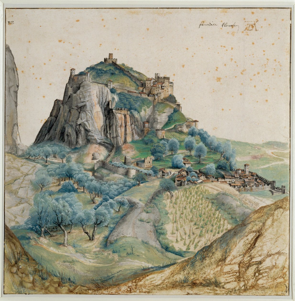  av Albrecht Dürer or Duerer
