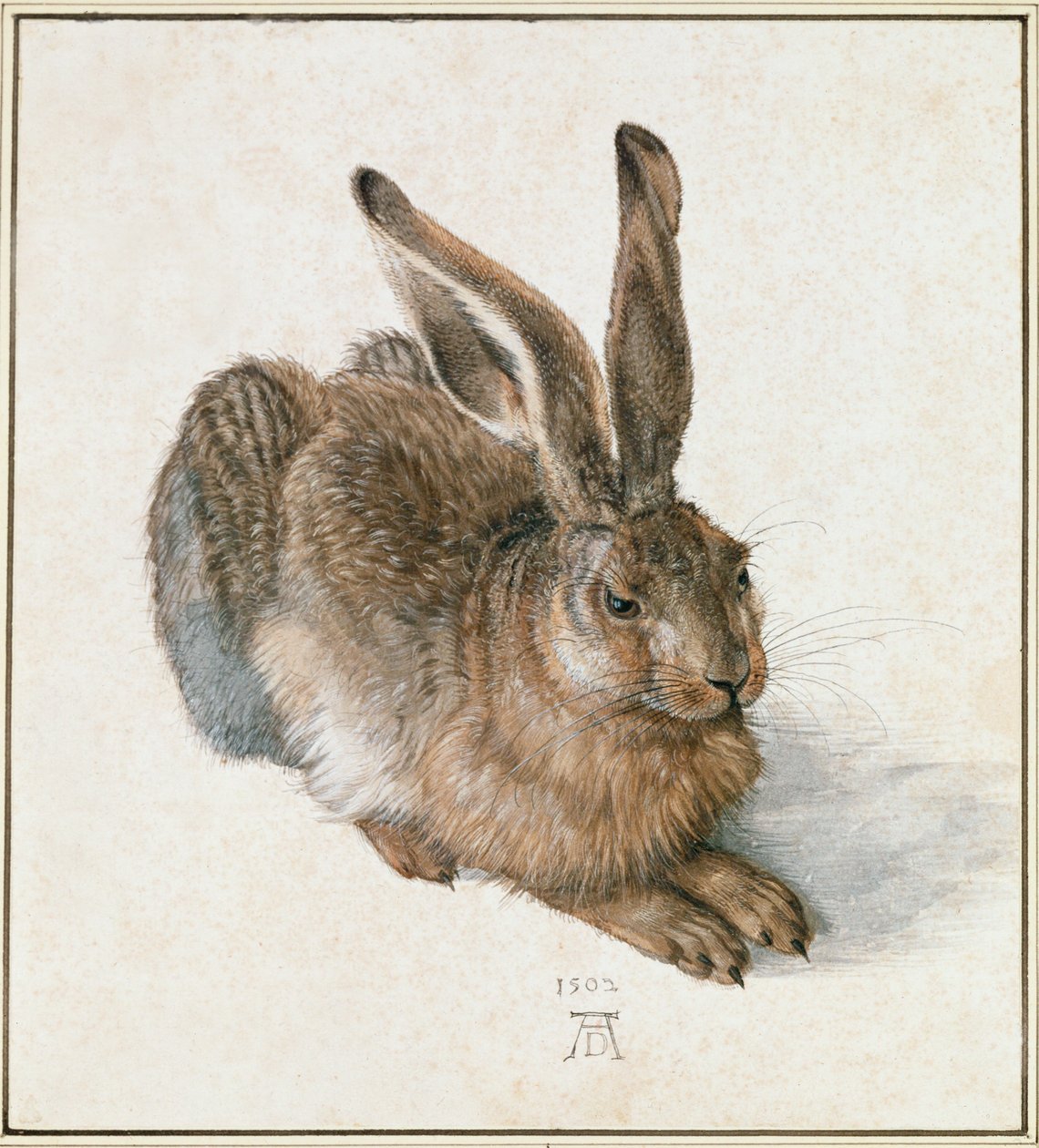  av Albrecht Dürer or Duerer