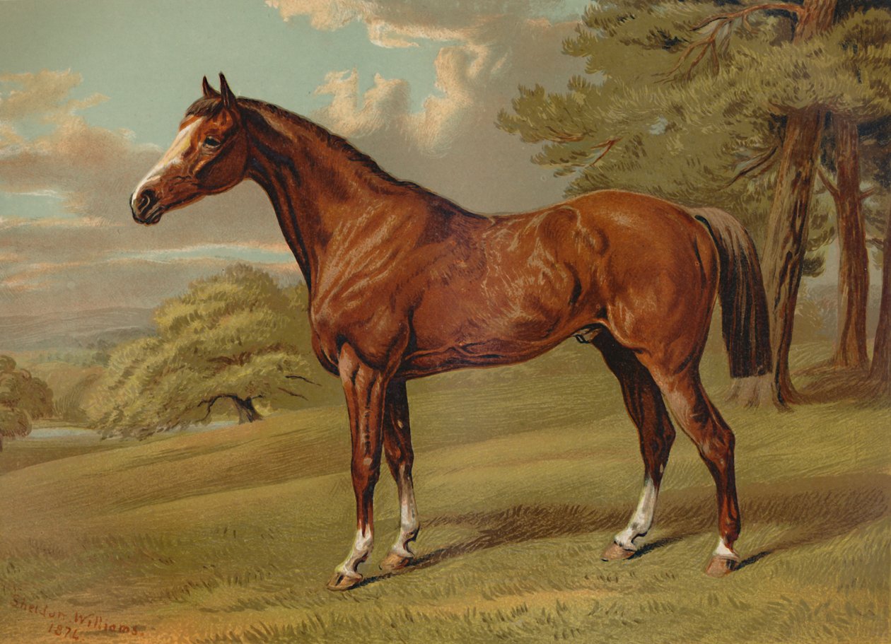 'Stilton A Hunter', c1879. av Aldfred Sheldon Williams