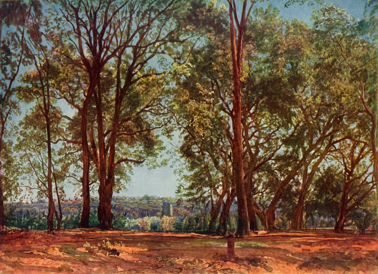I Aricci-parken, 1830-tallet, 1965. av Aleksandr Ivanov