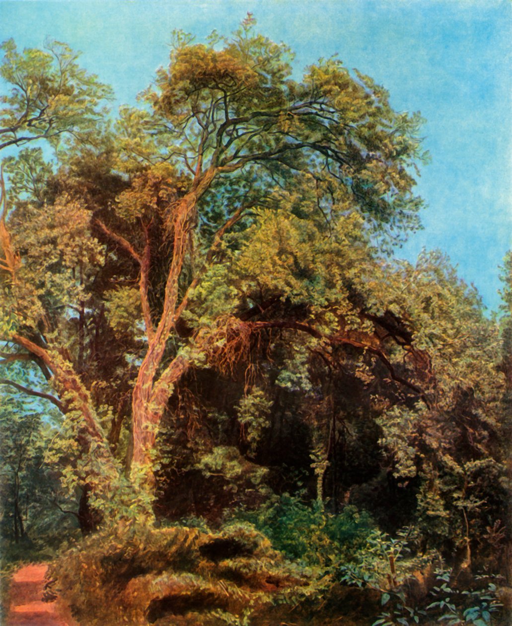 Tree in the Park, midten av 1800-tallet, 1965. av Aleksandr Ivanov