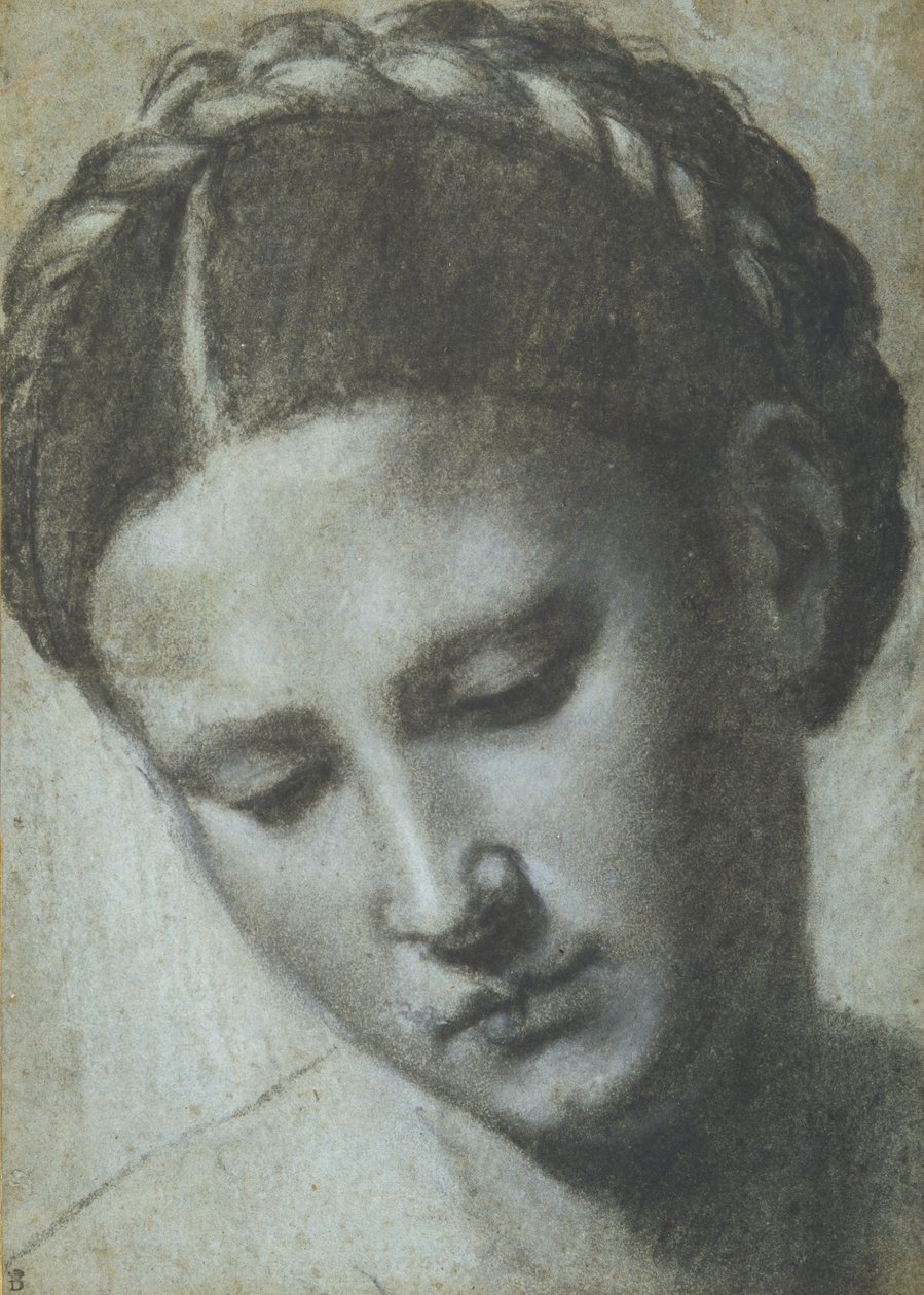 Et kvinnehode med flettet hår (kull og hvitt kritt på carta azzura) av Alessandro Bonvicino Moretto