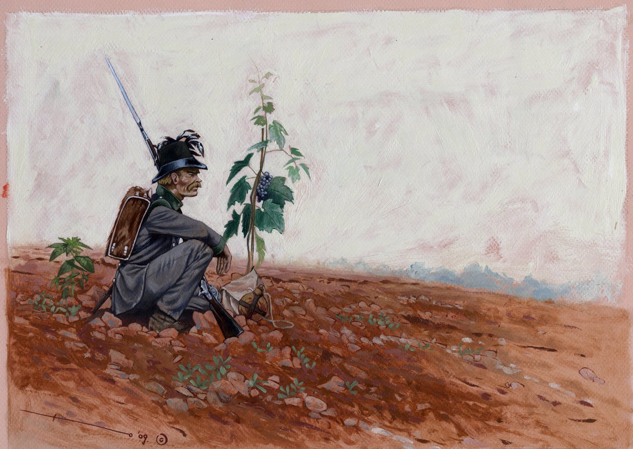 Østerrikske Jager (jeger), sitter i nærheten av en vingård av Alessandro Lonati