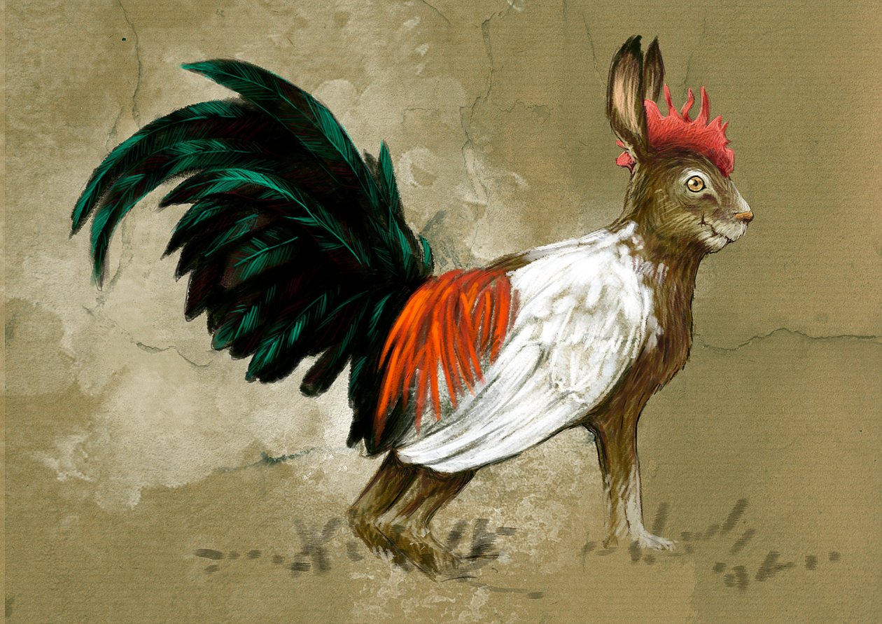 Fantastiske monstre og skapninger, kryptozoologi: representasjon av en skvader, imaginær skapning av Sverige, halvveis mellom en hare og en stor lynghane, den ble skapt i 1918 av taksidermist Rudolf Granberg - Tegning av Alessandro Lonati, 2012 av Alessandro Lonati