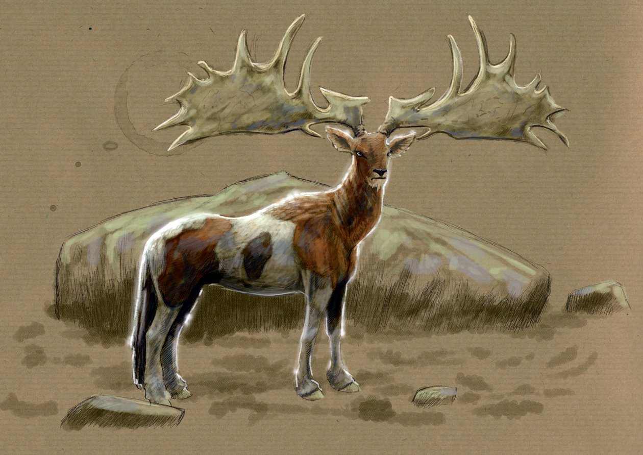 Fantastiske monstre og skapninger, kryptozoologi: representasjon av en hippocerf - Tegning av Alessandro Lonati, 2012 av Alessandro Lonati