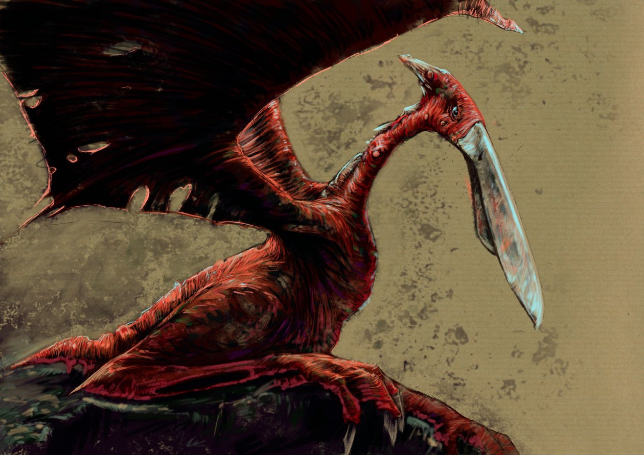 Fantastiske monstre og skapninger, kryptozoologi: representasjon av en kongamato, en flyktig pterosaurlignende skapning som sies å ha blitt sett i Mwinilunga-distriktets Jiundu-sumper i Vest-Zambia - Tegning av Alessandro Lonati, 2012 av Alessandro Lonati