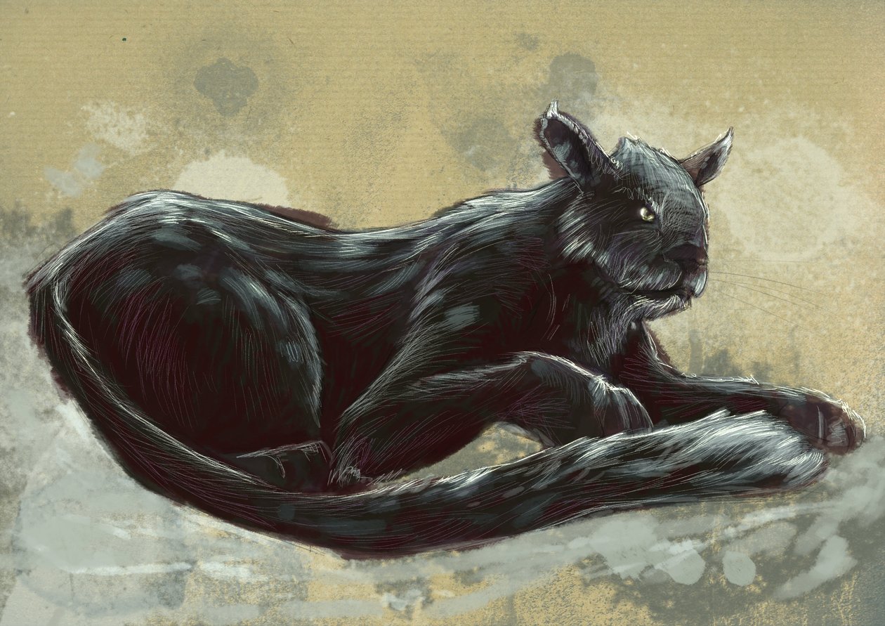 Fantastiske monstre og skapninger, kryptozoologi: representasjon av Bete of Exmoor, sett i Devon og Somerset i England - Tegning av Alessandro Lonati, 2012 av Alessandro Lonati