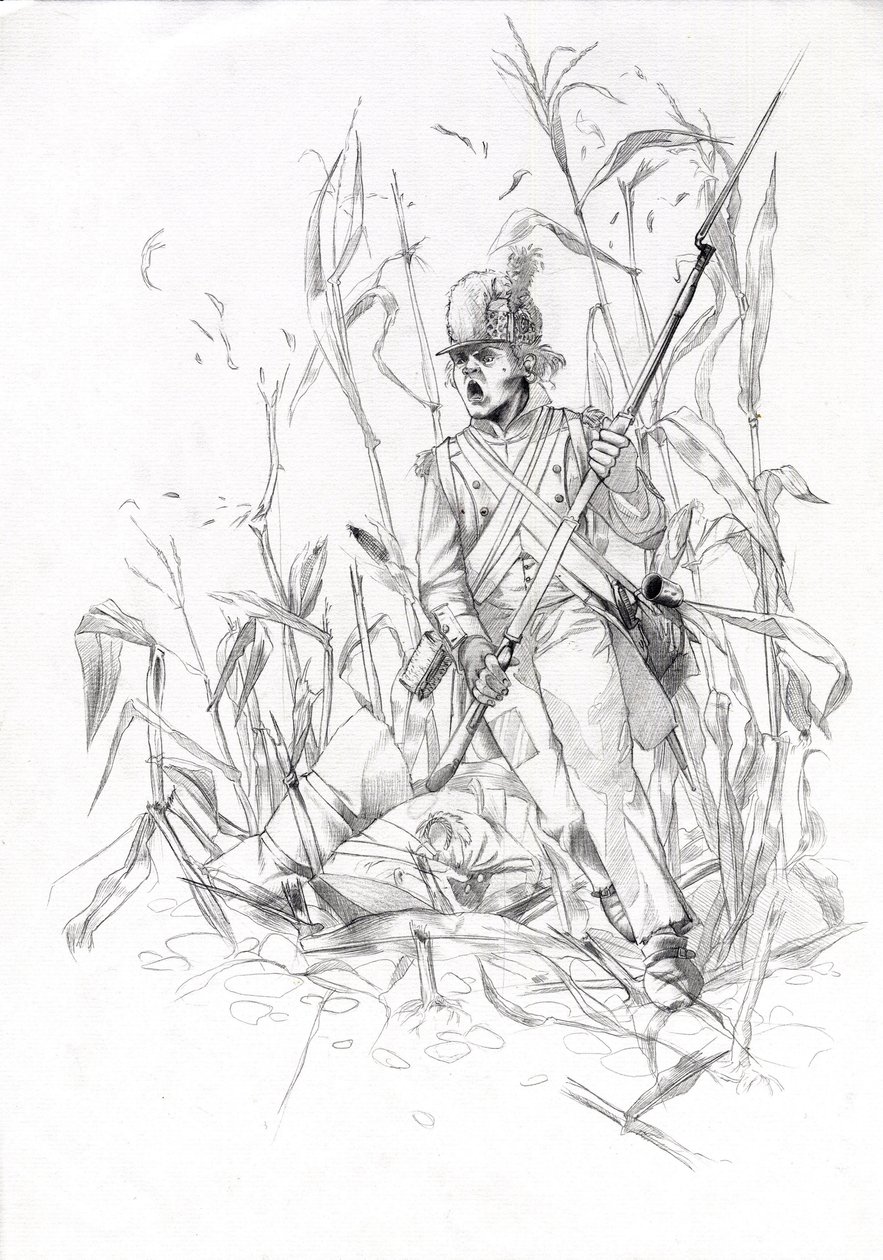 Første imperium (1804-1814 og 1815): soldat fra Napoleon-hæren, infanterist stormet gjennom et maisfelt med en såret kamerat. Tegning av Alessandro Lonati av Alessandro Lonati