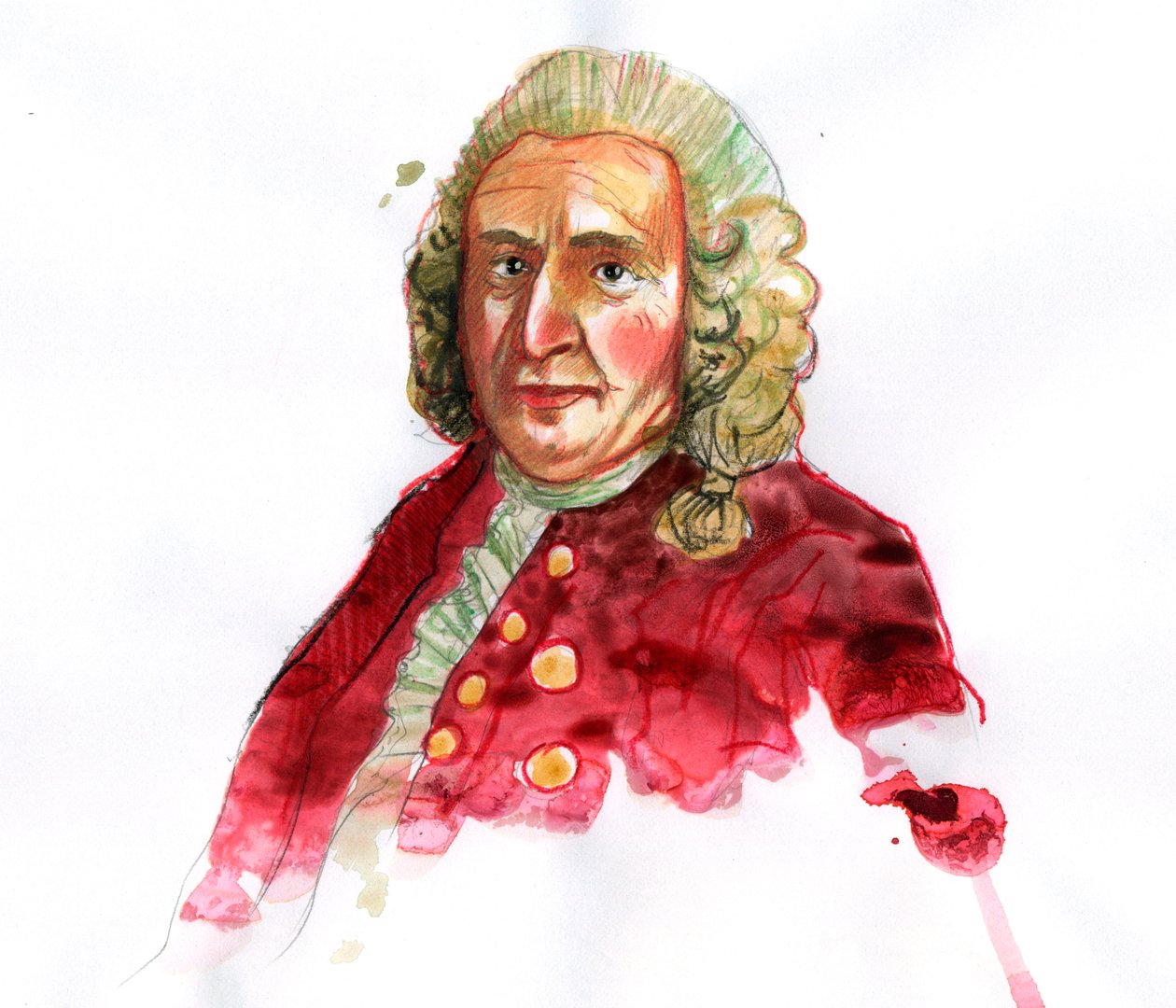 Portrett av Carl Linnaeus deretter Carl von Linne (1707-1778) svensk naturforsker (Portrett av Carl Linnaeus) av Alessandro Lonati