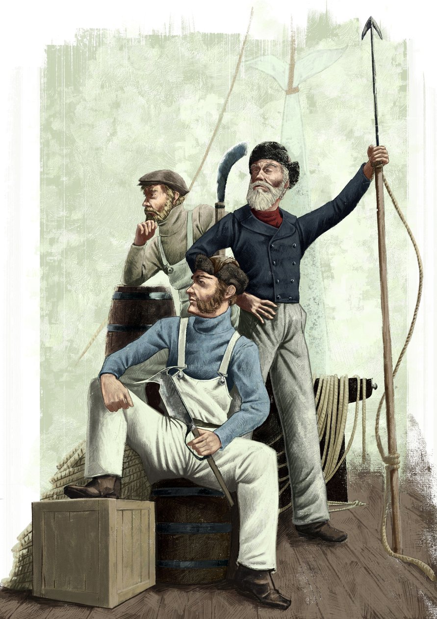 Tre hvaler av Alessandro Lonati