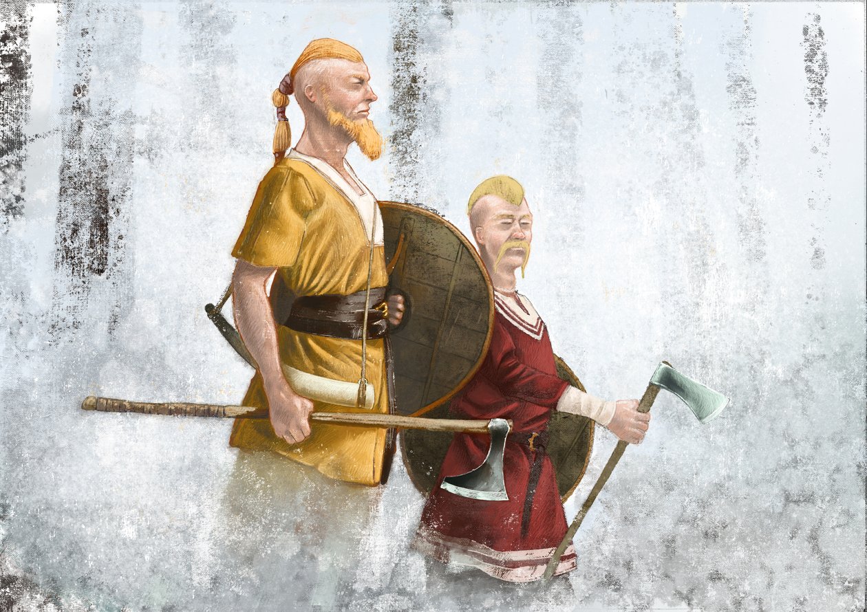 Vikinger i tåkeskogen av Alessandro Lonati