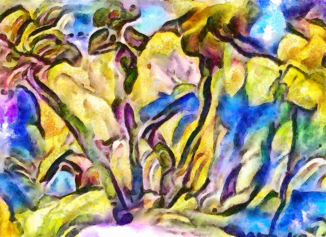 skogkanten, 2017, av Alex Caminker