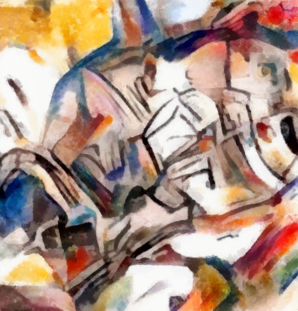 område, 2016, av Alex Caminker