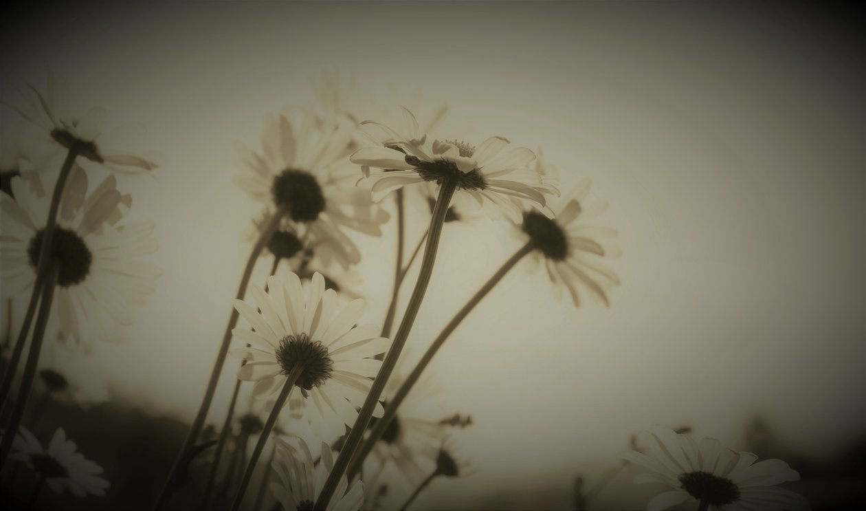 Episode, 2019, (fotografi) av Alex Caminker