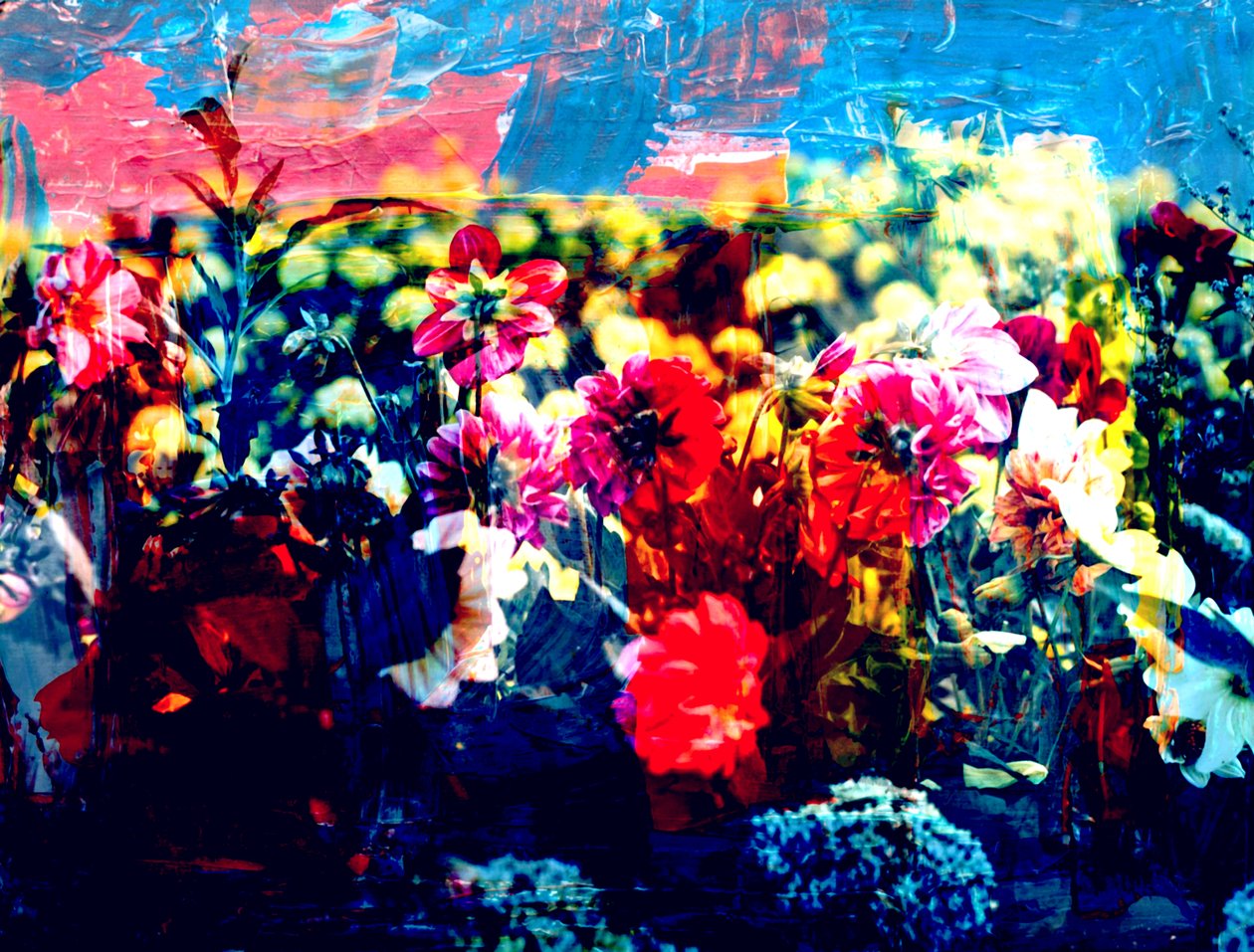 Field, 2019, (collage) av Alex Caminker