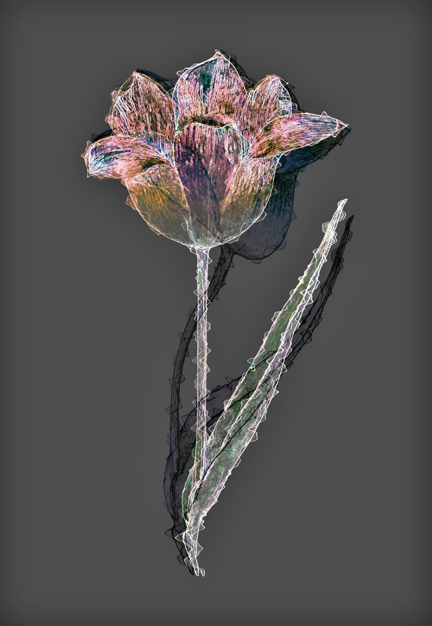 Blomst, 2020, (blandet media) av Alex Caminker