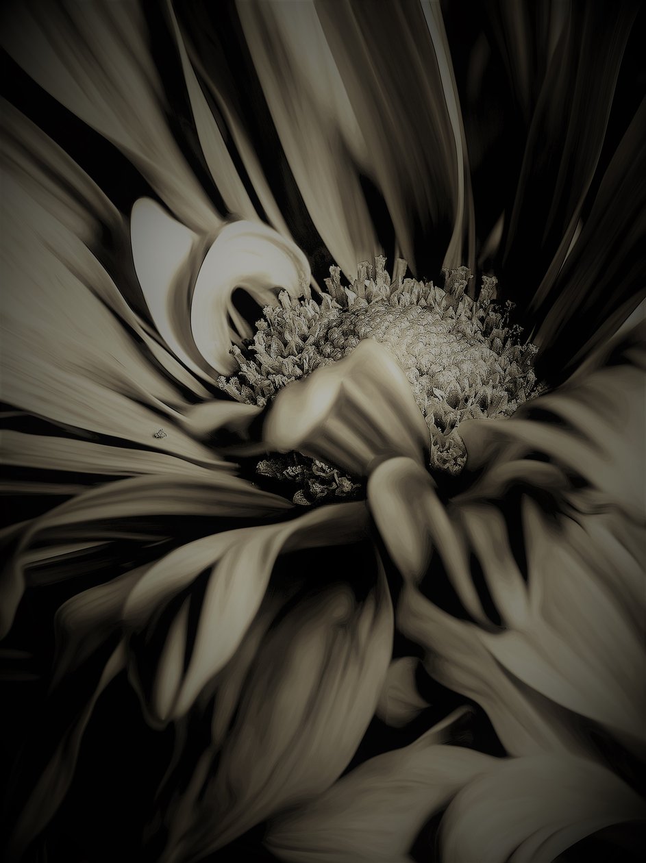 Indre rom, 2019, (fotografi) av Alex Caminker