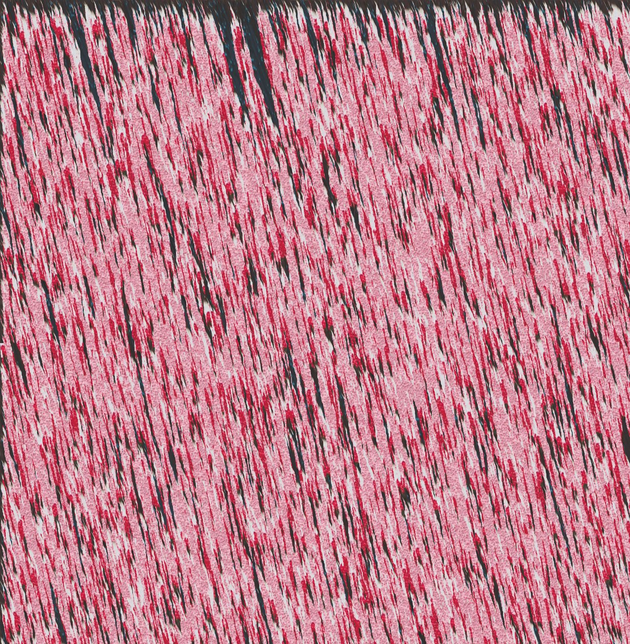 Margin I, 2019, (blandet media) av Alex Caminker