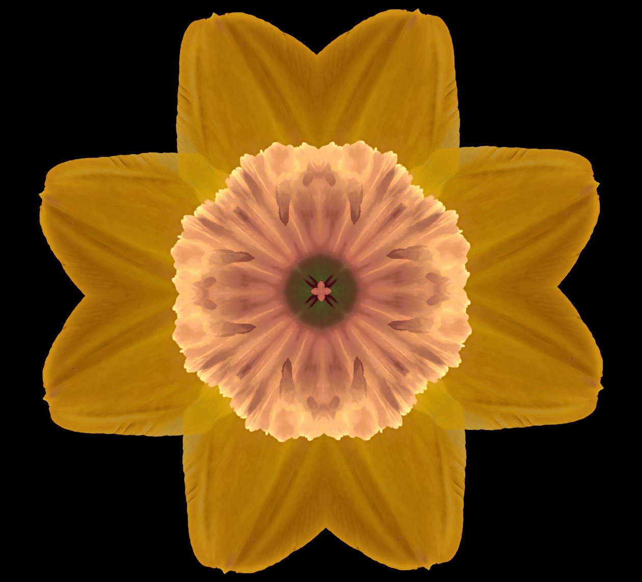 Symmetry, 2019, (fotografi) av Alex Caminker