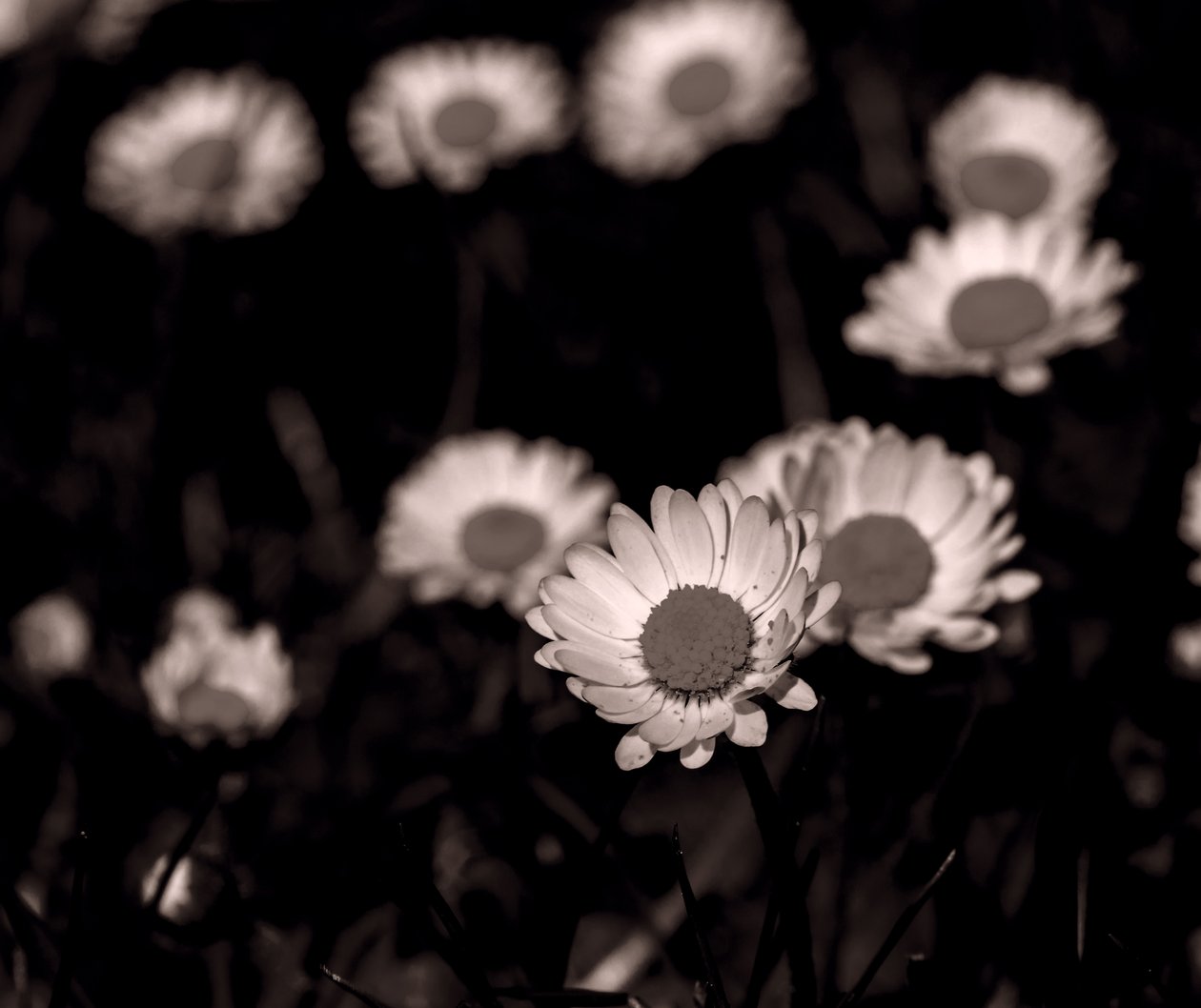 Units,2019,(fotografi) av Alex Caminker