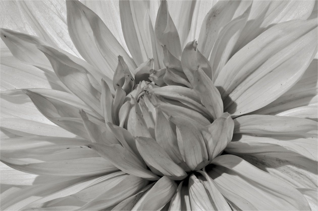 Uten tittel, 2019, (fotografi) av Alex Caminker