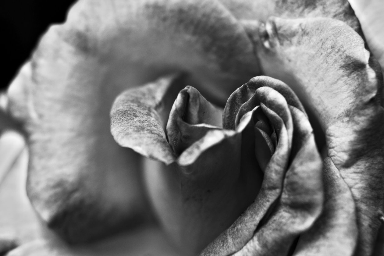 Uten tittel, 2019, (fotografi) av Alex Caminker