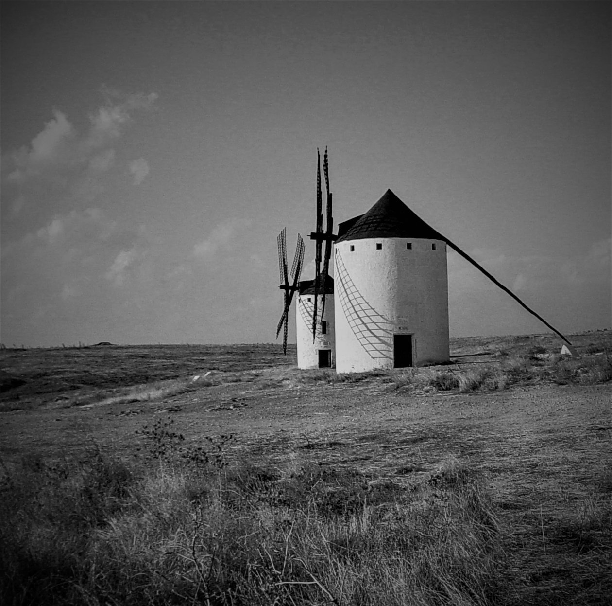 Uten tittel, 2019, (fotografi) av Alex Caminker