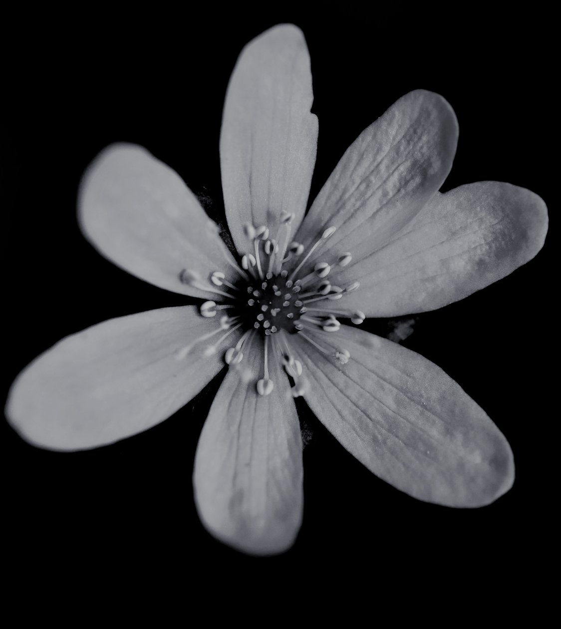 Uten tittel, 2019, (fotografi) av Alex Caminker