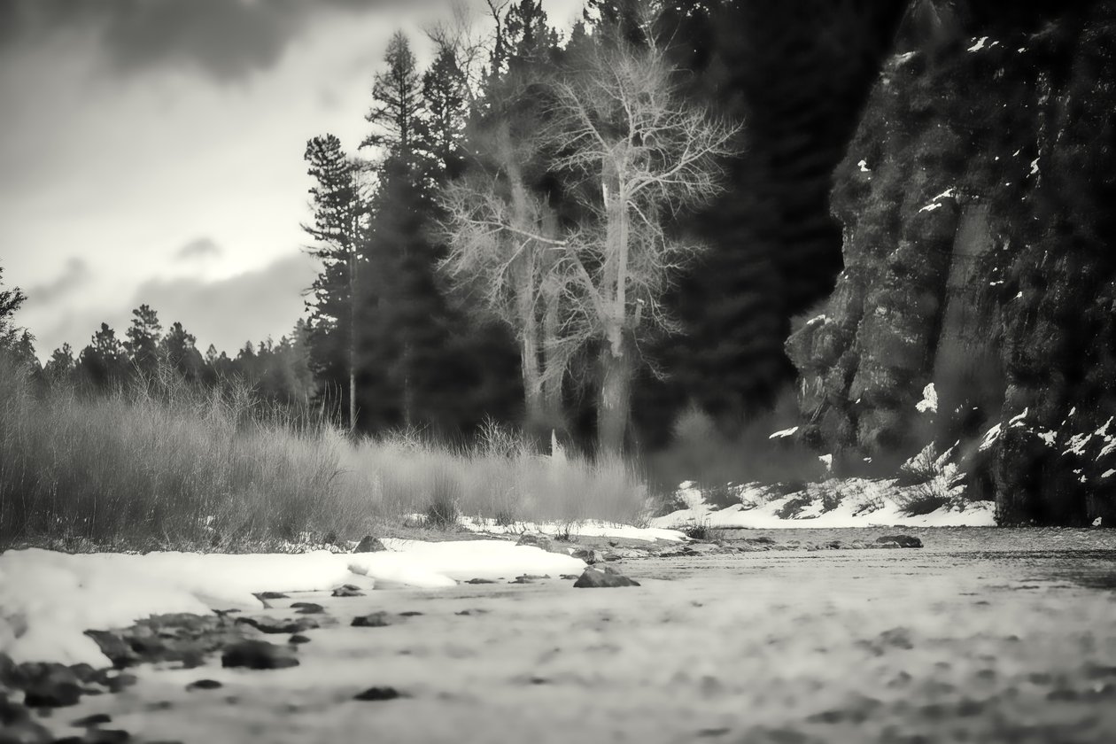 aksenter,2019,(fotografi) av Alex Caminker
