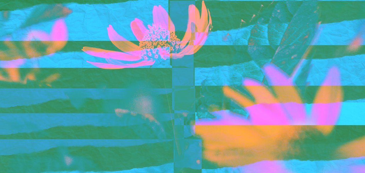 alltid og overalt, 2019, (collage) av Alex Caminker