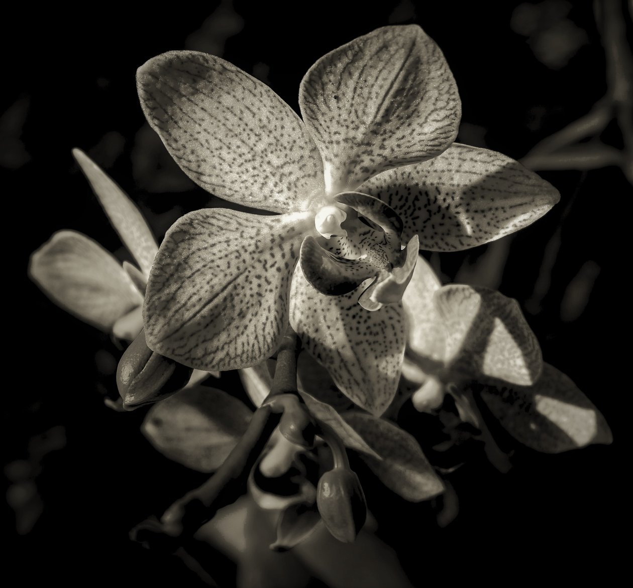 en annen verden, 2019, (fotografi) av Alex Caminker