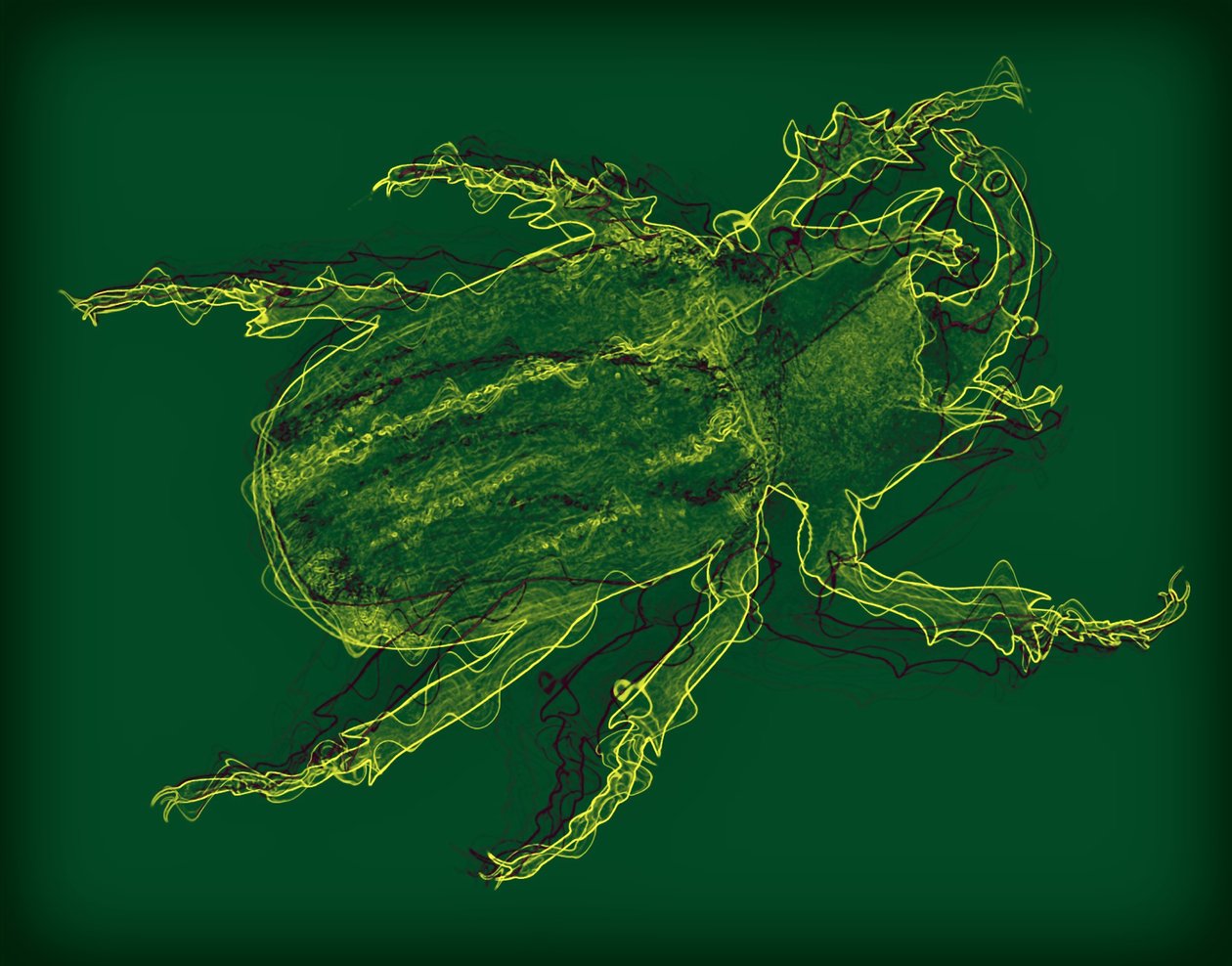 bug, 2020, (blandet media) av Alex Caminker