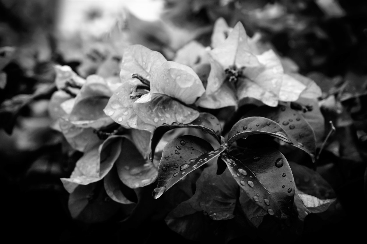 cluster,2019,(fotografi) av Alex Caminker