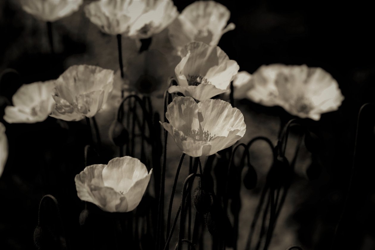 arkivert enheter, 2019, (fotografi) av Alex Caminker