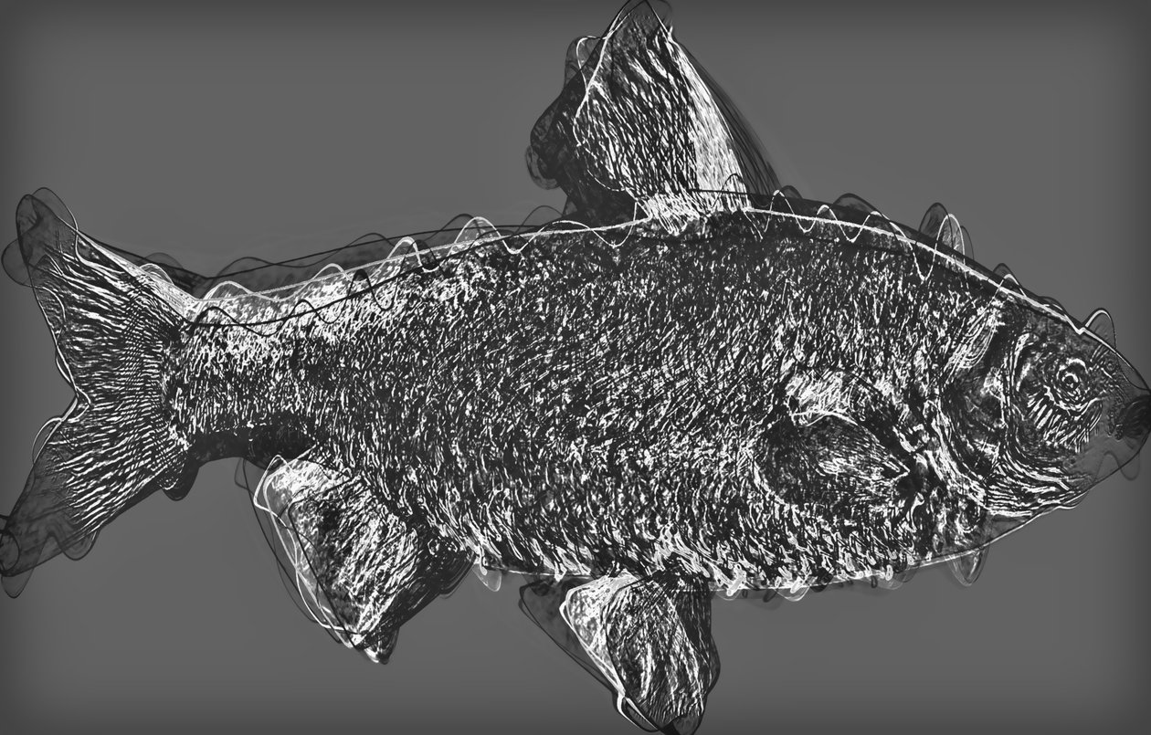 fisk i grått,2020,(mixed media) av Alex Caminker