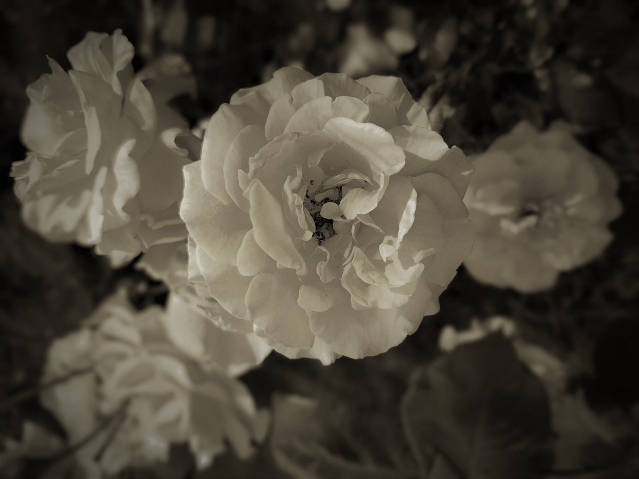 group,2019,(fotografi) av Alex Caminker