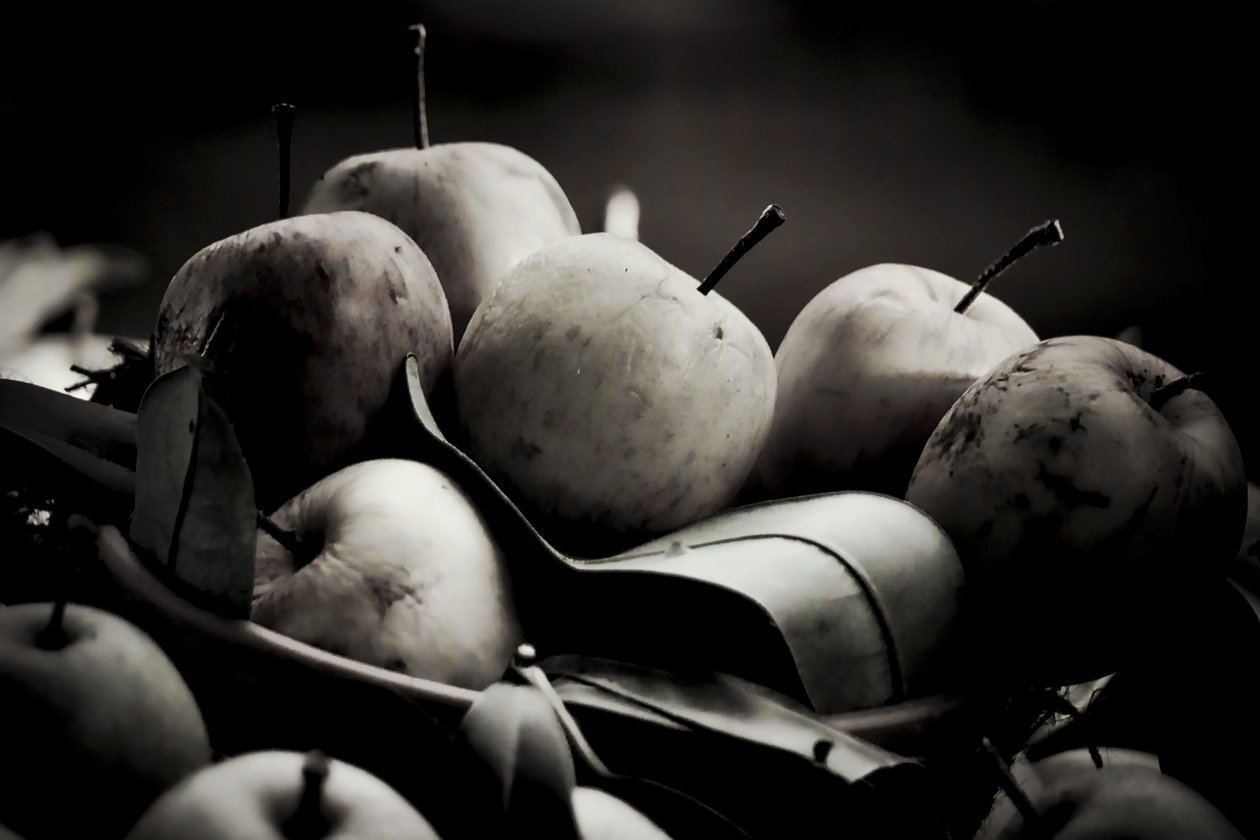 harvest,2019,(fotografi) av Alex Caminker