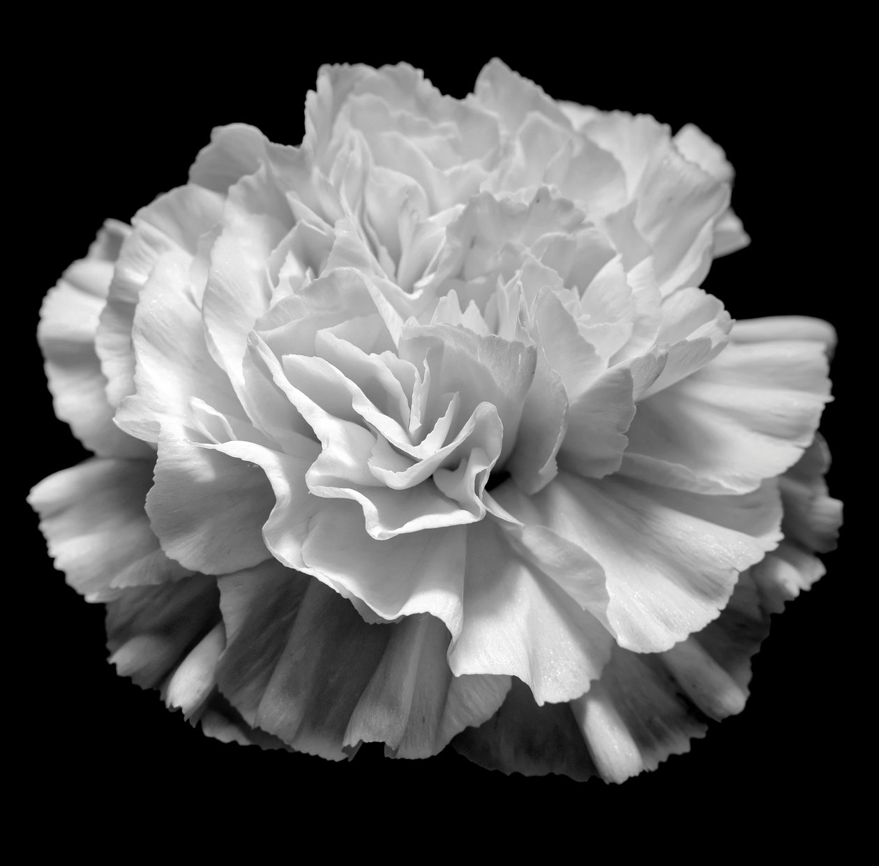 naturlig geometri II,2019,(fotografi) av Alex Caminker