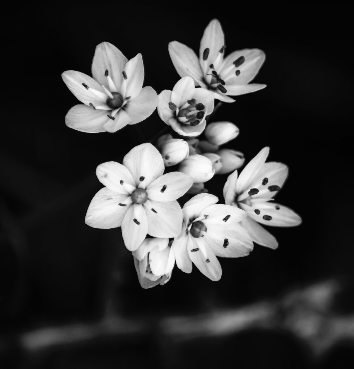 forhold,2019,(fotografi) av Alex Caminker
