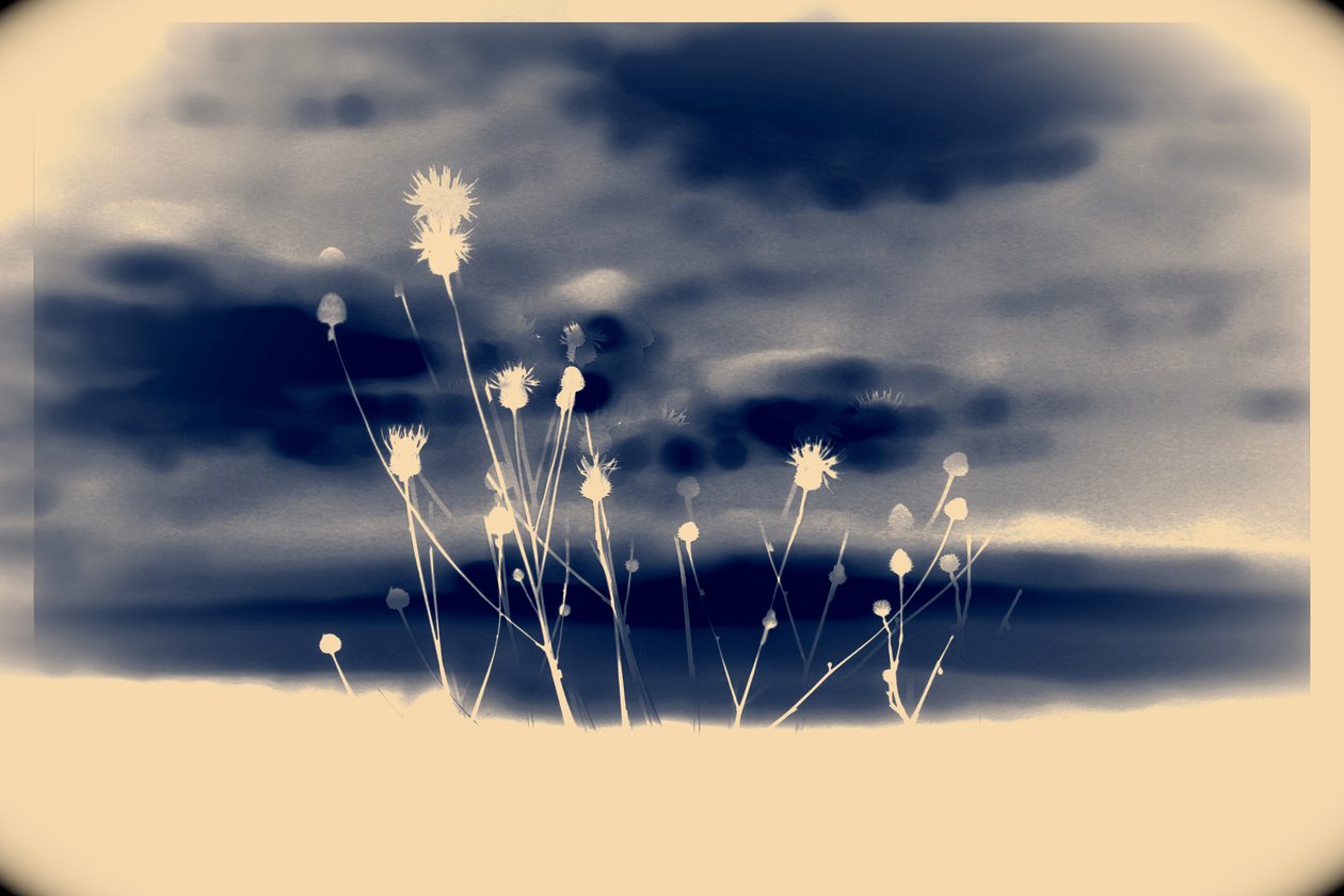 space,2019,(fotografi) av Alex Caminker