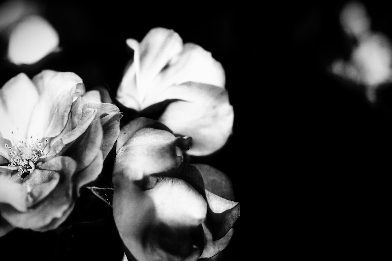 ømhet, 2019, (fotografi) av Alex Caminker